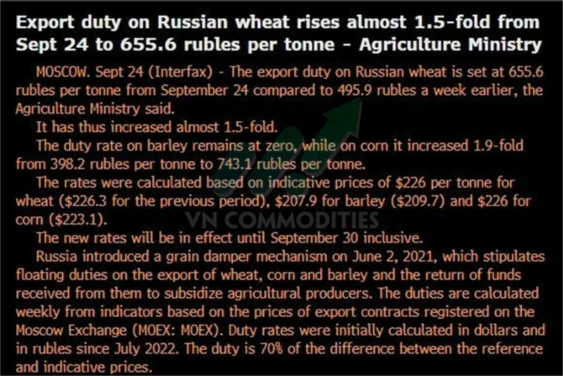 Tin n&ocirc;ng sản 10